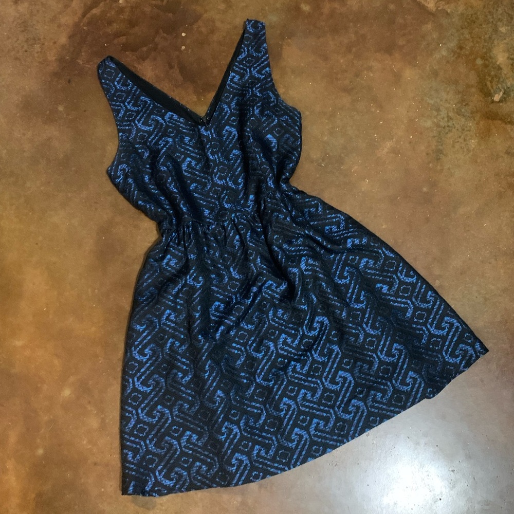 C. Luce Mini Flare Dress